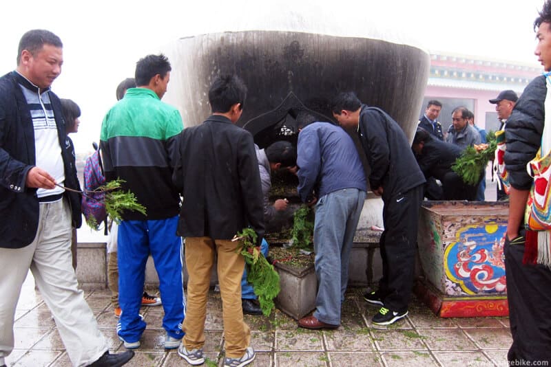 changebike cycle China 雲南 飛來寺 白馬雪山 奔子欄 自行車之旅