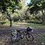 changebike folding bike tour