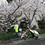 changebike folding bike tour